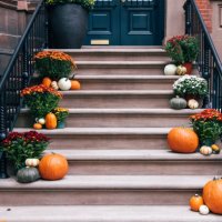 pumpkins and autumn flowers on the door steps, decorations for halloween - home decoration stock pictures, royalty-free photos & images