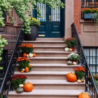 pumpkins and autumn flowers on the door steps of a brownstone house in west village, decorations for halloween, new york, usa - home decoration stock pictures, royalty-free photos & images