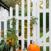 pumpkins decorate a white picket fence by a house - garden decoration stock pictures, royalty-free photos & images