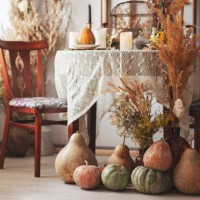 pumpkins different sizes and colours decor fall halloween - home decoration stock pictures, royalty-free photos & images
