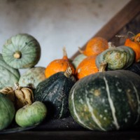 pumpkins of various shapes and sizes on a table - garden decoration stock pictures, royalty-free photos & images