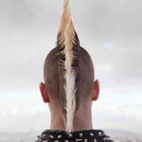 punk with long mohawk from behind - hairstyle stock pictures, royalty-free photos & images