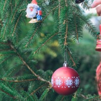 put the christmas tree - garden decoration stock pictures, royalty-free photos & images