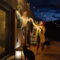 putting up christmas decorations - garden decoration stock pictures, royalty-free photos & images