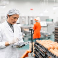 quality control technician with hygienic clean suit and ppe working in eggs production factory. - food stock pictures, royalty-free photos & images