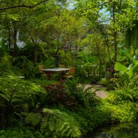 rainforest - garden decoration stock pictures, royalty-free photos & images