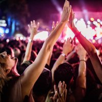 raise your hands for this great music festival! - concert stock pictures, royalty-free photos & images