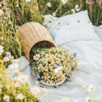 rattan toy for decoration baby basket with flowers. - garden decoration stock pictures, royalty-free photos & images