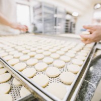 ready for baking - food stock pictures, royalty-free photos & images