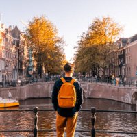 rear view of a man looking at amsterdam canal on a sunny day, netherlands - travel stock pictures, royalty-free photos & images