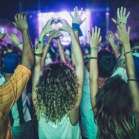 rear view of crowd of people with raised arms on a music festival. - concert stock pictures, royalty-free photos & images
