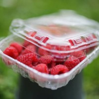 recyclable transparent pet (polyethylene terephthalate) packaging with fresh and clean raspberries - junk food stock pictures, royalty-free photos & images