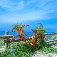 recycled bicycle decorated with flowers in bloom in rural setting around san remo, liguria, italy - garden decoration stock pictures, royalty-free photos & images