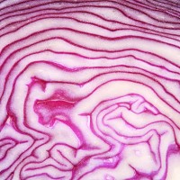red cabbage - food stock pictures, royalty-free photos & images
