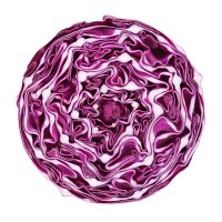 red cabbage portion on white - food stock pictures, royalty-free photos & images