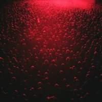 red lit festival crowd - concert stock pictures, royalty-free photos & images