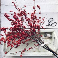 red winterberry branches on a tray with ribbon and scissors - home decoration stock pictures, royalty-free photos & images