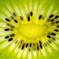 refreshing fruit kiwi slice macro with vibrant colors - food stock pictures, royalty-free photos & images
