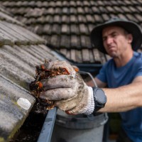 removing all the leaves from the roof gutters before the winter - home decoration stock pictures, royalty-free photos & images