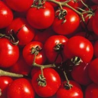 ripe tomatoes - food stock pictures, royalty-free photos & images