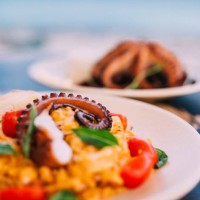 risotto with octopus tentacle and a grilled octopus served on the table - food stock pictures, royalty-free photos & images