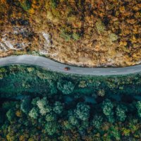 road through the forest - travel stock pictures, royalty-free photos & images
