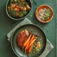 roast duck breast with vegetables - food stock pictures, royalty-free photos & images