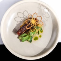 roast pork belly meat dish with sage butter and dill oil at michelin star gourmet restaurant - food stock pictures, royalty-free photos & images