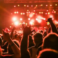 rock concert mosh pit, concert crowd rear view, concert audience silhouette - concert stock pictures, royalty-free photos & images
