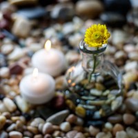 rock garden - garden decoration stock pictures, royalty-free photos & images