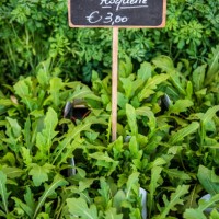 rocket on sale at market - garden decoration stock pictures, royalty-free photos & images