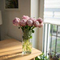 romantic bouquet of pink peonies flowers in home interior in glass vase on table near french balcony - garden decoration stock pictures, royalty-free photos & images