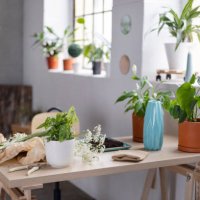 room with no people and houseplants on the table - garden decoration stock pictures, royalty-free photos & images
