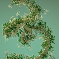 rope with daisy flowers - garden decoration stock pictures, royalty-free photos & images