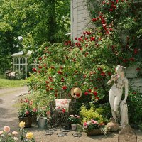 rose garden with women statue - garden decoration stock pictures, royalty-free photos & images