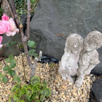 rose plant and sculpture - garden decoration stock pictures, royalty-free photos & images