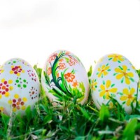 row of easter eggs with daisy on fresh green grass - garden decoration stock pictures, royalty-free photos & images