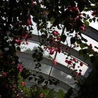 royal botanic garden, fukuoka japan - garden decoration stock-fotos und bilder