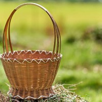 rustic wicker basket on grass in natural light - garden decoration stock pictures, royalty-free photos & images