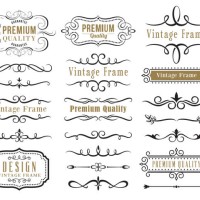 satz dekorativer elemente für design - fashion stock-grafiken, -clipart, -cartoons und -symbole