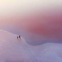 scenic aerial view of couple walking on pink salt lake - travel stock pictures, royalty-free photos & images