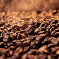 scent of the coffee - coffee stock pictures, royalty-free photos & images