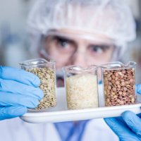 scientist in lab examining food samples - food stock pictures, royalty-free photos & images