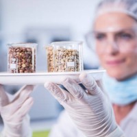 scientist in lab holding tray with seed samples - food stock pictures, royalty-free photos & images