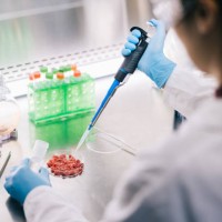 scientist working with pipette and cultured meat in laboratory - food stock pictures, royalty-free photos & images