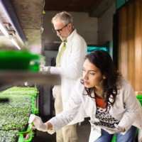 scientists - food stock pictures, royalty-free photos & images