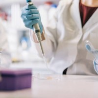 scientists taking samples with pipette - food stock pictures, royalty-free photos & images