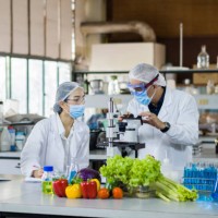 scientists working in the laboratory - food stock pictures, royalty-free photos & images