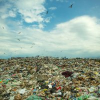 seagulls at a garbage dump with a city and mountains in background. environmental damage, air and water pollution and ecology crisis concept. - food stock pictures, royalty-free photos & images