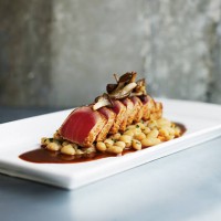 seared spiced tuna with cannellini beans - food stock pictures, royalty-free photos & images